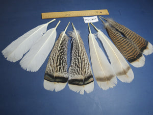 4 Pairs Of Turkey Feathers, Tail Feathers, Fly Tying Materials, Genuine Feathers (AMZ-268)