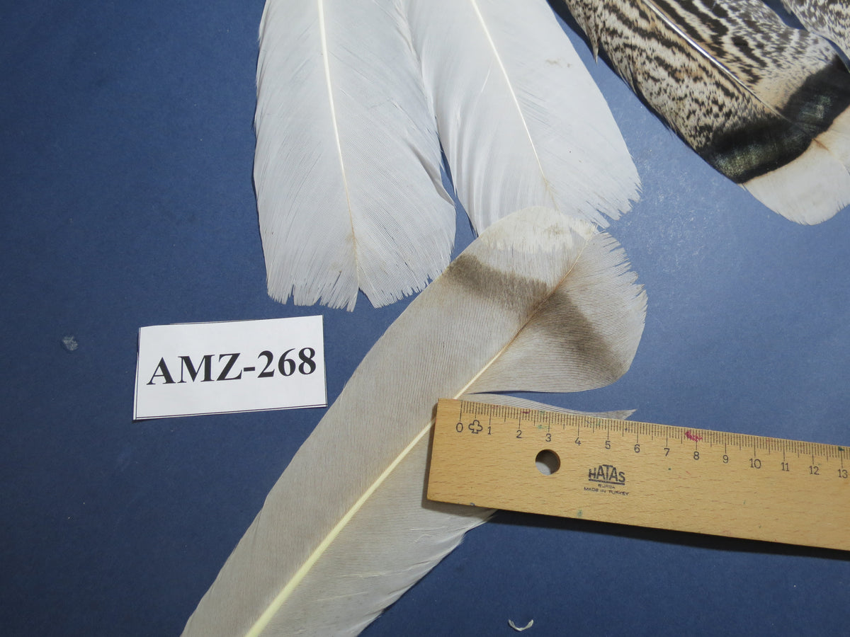 4 Pairs Of Turkey Feathers, Tail Feathers, Fly Tying Materials, Genuine Feathers (AMZ-268)