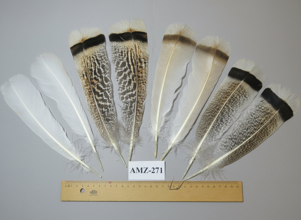 4 Pairs Of Turkey Feathers, Tail Feathers, Fly Tying Materials, Genuine Feathers (AMZ-271)