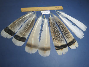4 Pairs Of Turkey Feathers, Tail Feathers, Fly Tying Materials, Genuine Feathers (AMZ-271)