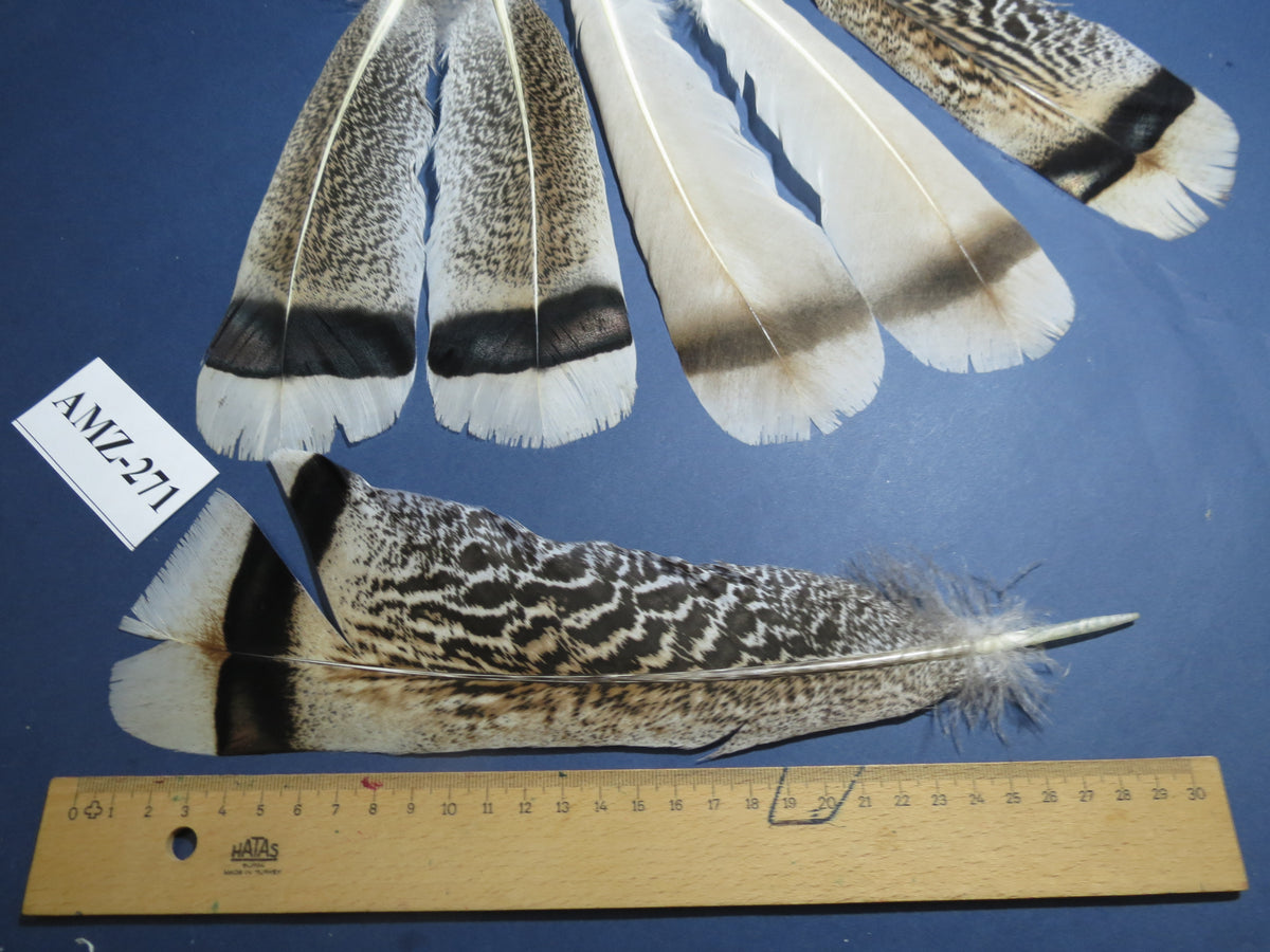 4 Pairs Of Turkey Feathers, Tail Feathers, Fly Tying Materials, Genuine Feathers (AMZ-271)