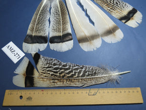 4 Pairs Of Turkey Feathers, Tail Feathers, Fly Tying Materials, Genuine Feathers (AMZ-271)