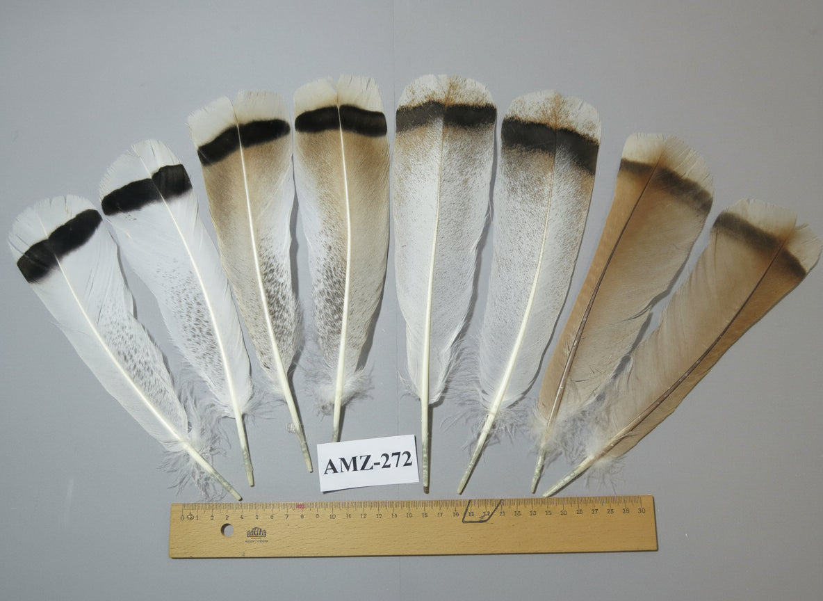 4 Pairs Of Turkey Feathers, Tail Feathers, Fly Tying Materials, Genuine Feathers (AMZ-272)