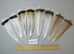 4 Pairs Of Turkey Feathers, Tail Feathers, Fly Tying Materials, Genuine Feathers (AMZ-272)