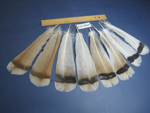 4 Pairs Of Turkey Feathers, Tail Feathers, Fly Tying Materials, Genuine Feathers (AMZ-272)