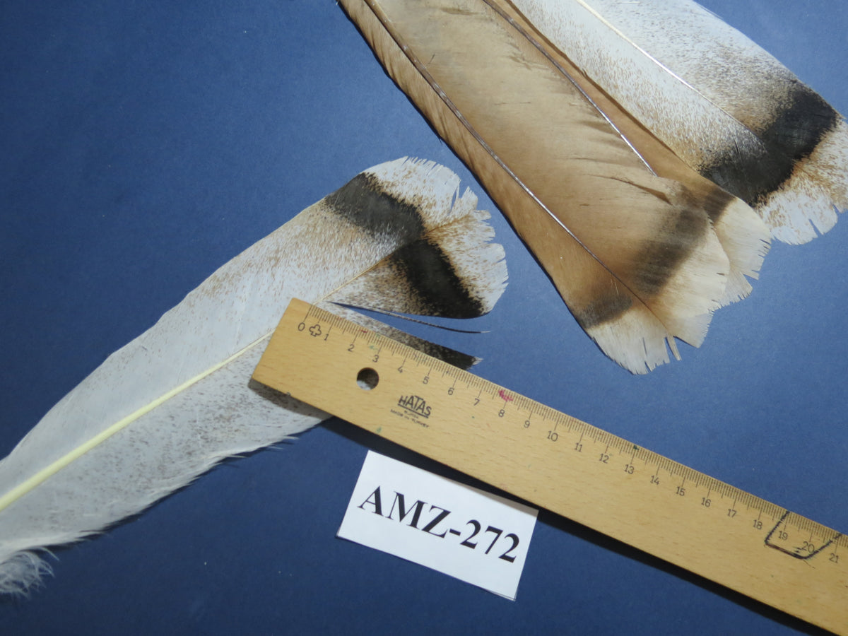 4 Pairs Of Turkey Feathers, Tail Feathers, Fly Tying Materials, Genuine Feathers (AMZ-272)