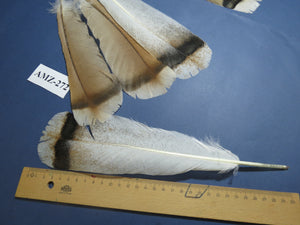 4 Pairs Of Turkey Feathers, Tail Feathers, Fly Tying Materials, Genuine Feathers (AMZ-272)