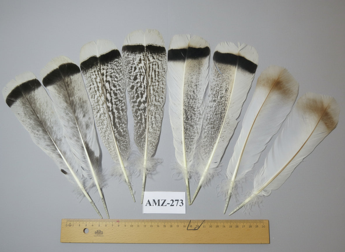 4 Pairs Of Turkey Feathers, Tail Feathers, Fly Tying Materials, Genuine Feathers (AMZ-273)
