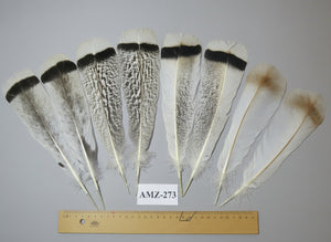 4 Pairs Of Turkey Feathers, Tail Feathers, Fly Tying Materials, Genuine Feathers (AMZ-273)