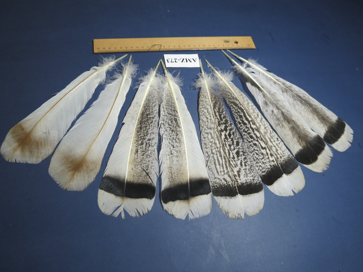 4 Pairs Of Turkey Feathers, Tail Feathers, Fly Tying Materials, Genuine Feathers (AMZ-273)