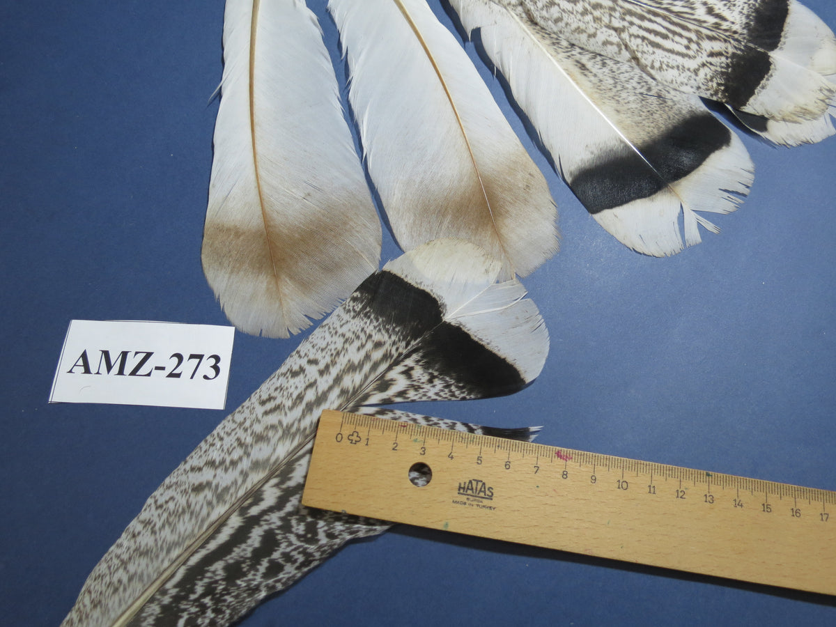 4 Pairs Of Turkey Feathers, Tail Feathers, Fly Tying Materials, Genuine Feathers (AMZ-273)