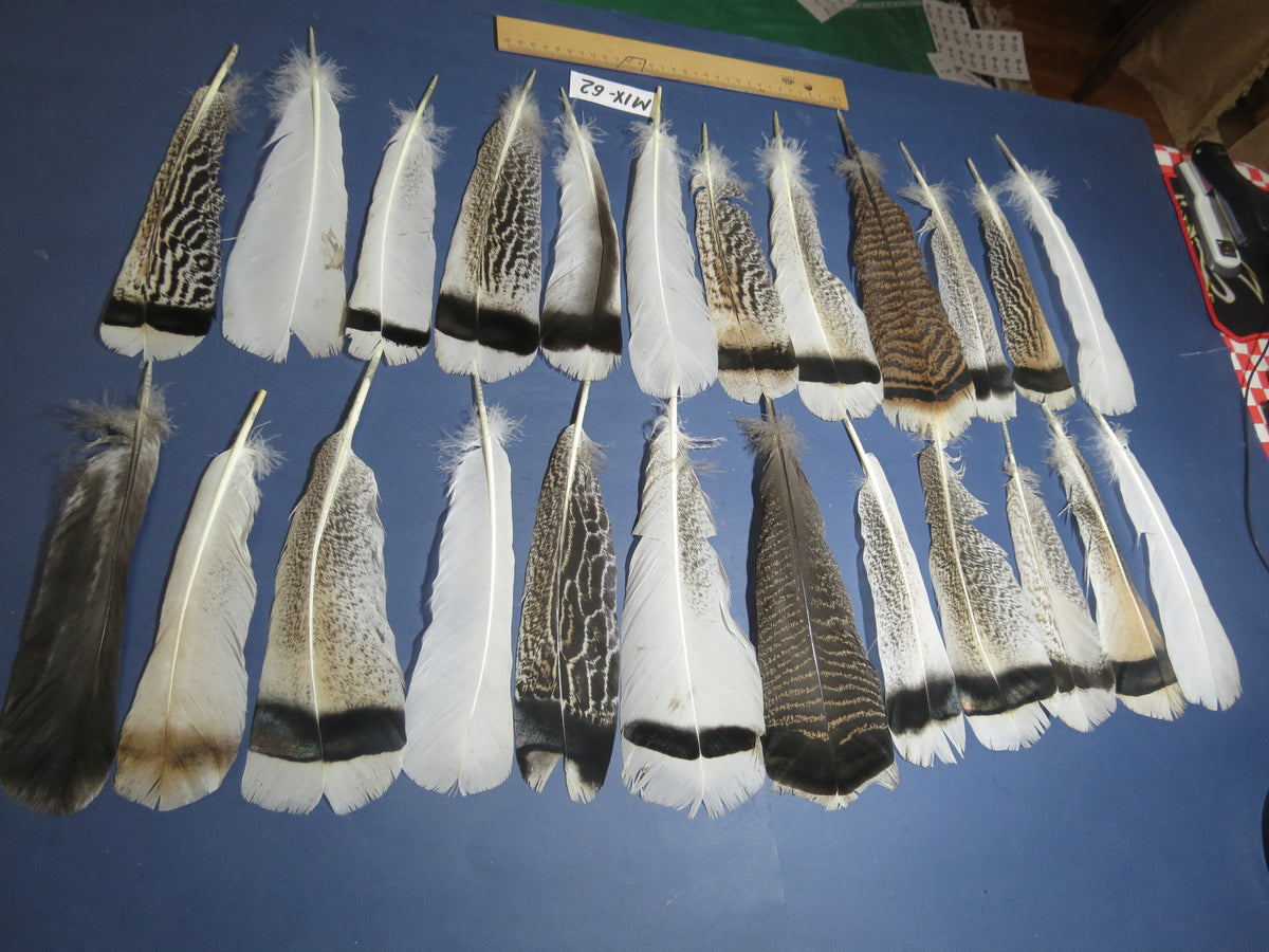 24 Pcs Natural Turkey Tail Feathers, Fly Tying Materials, Genuine Feathers (MIX-62)