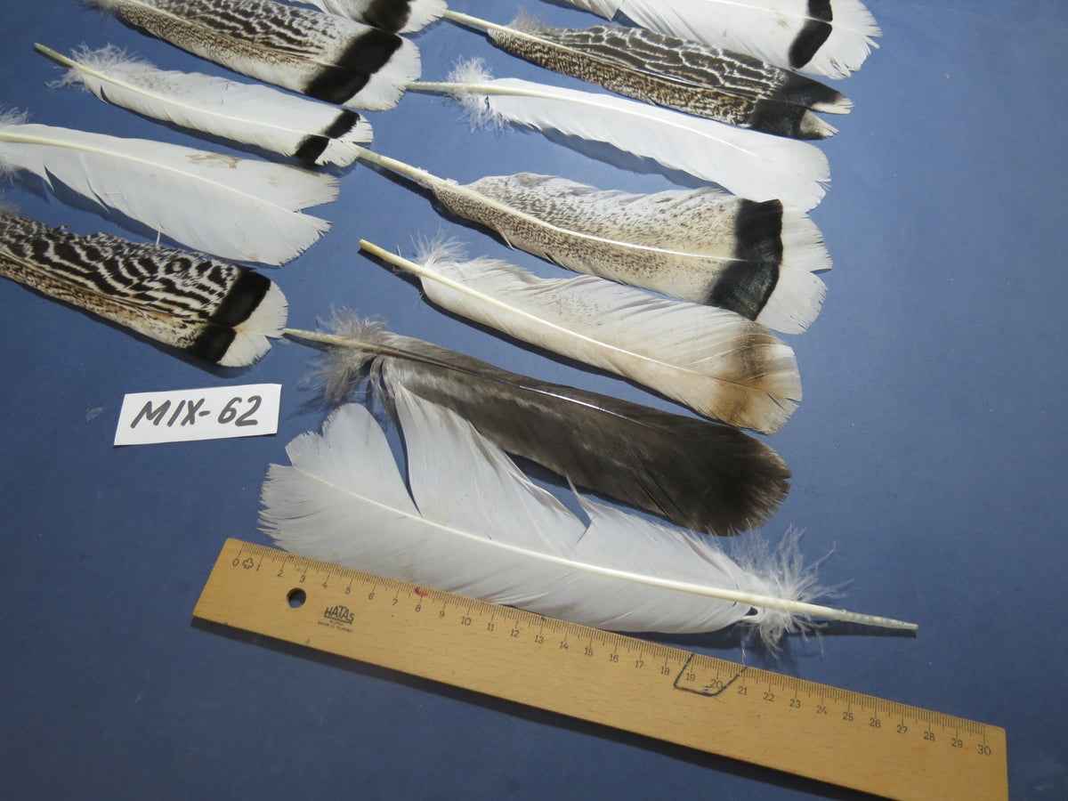 24 Pcs Natural Turkey Tail Feathers, Fly Tying Materials, Genuine Feathers (MIX-62)