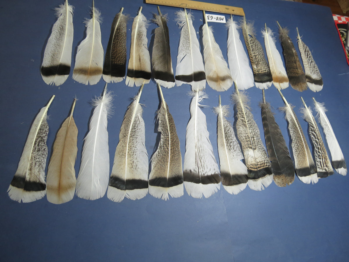 24 Pcs Natural Turkey Tail Feathers, Fly Tying Materials, Genuine Feathers (MIX-63)