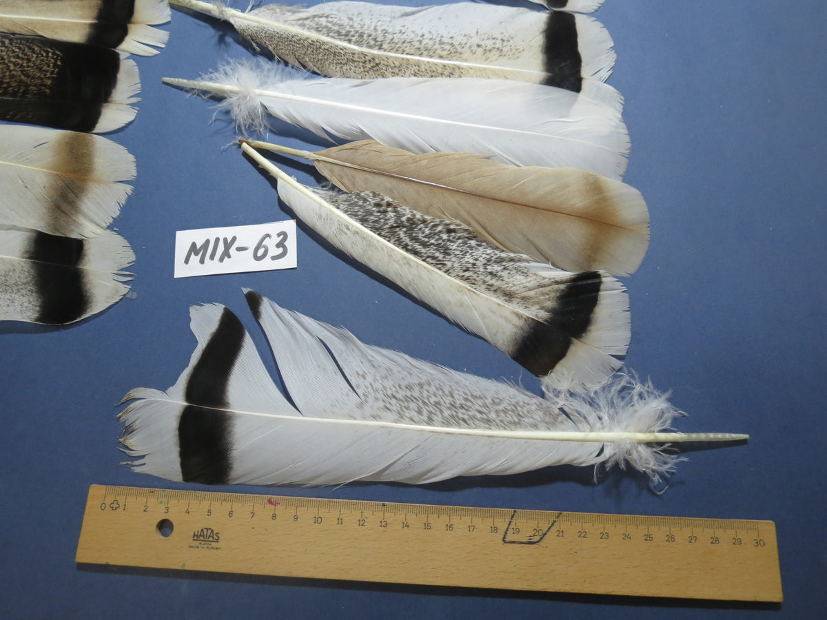 24 Pcs Natural Turkey Tail Feathers, Fly Tying Materials, Genuine Feathers (MIX-63)