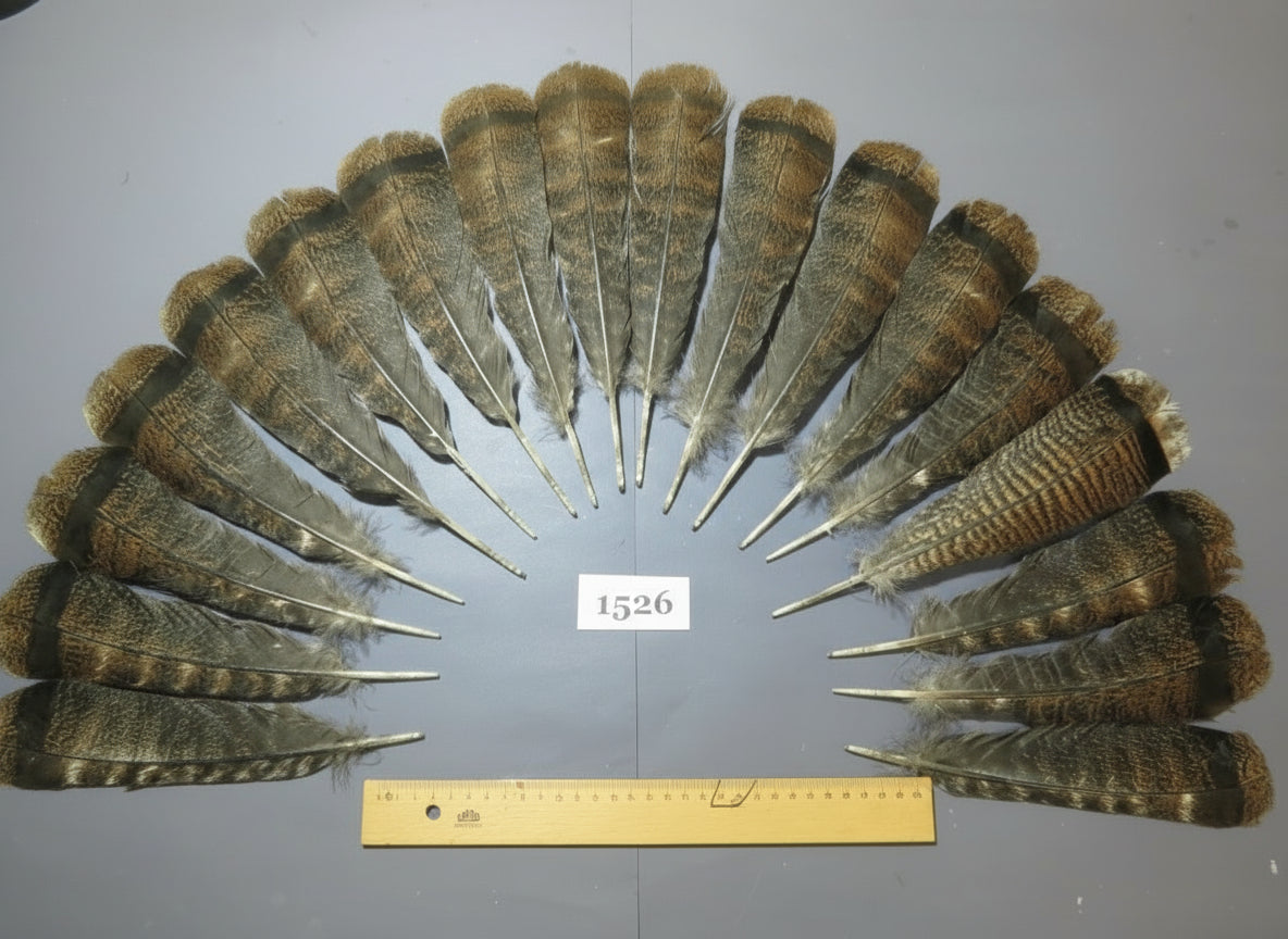 18 Pcs Brown Turkey Tail Feathers, Fly Tying Materials,Long Feathers. (1526)