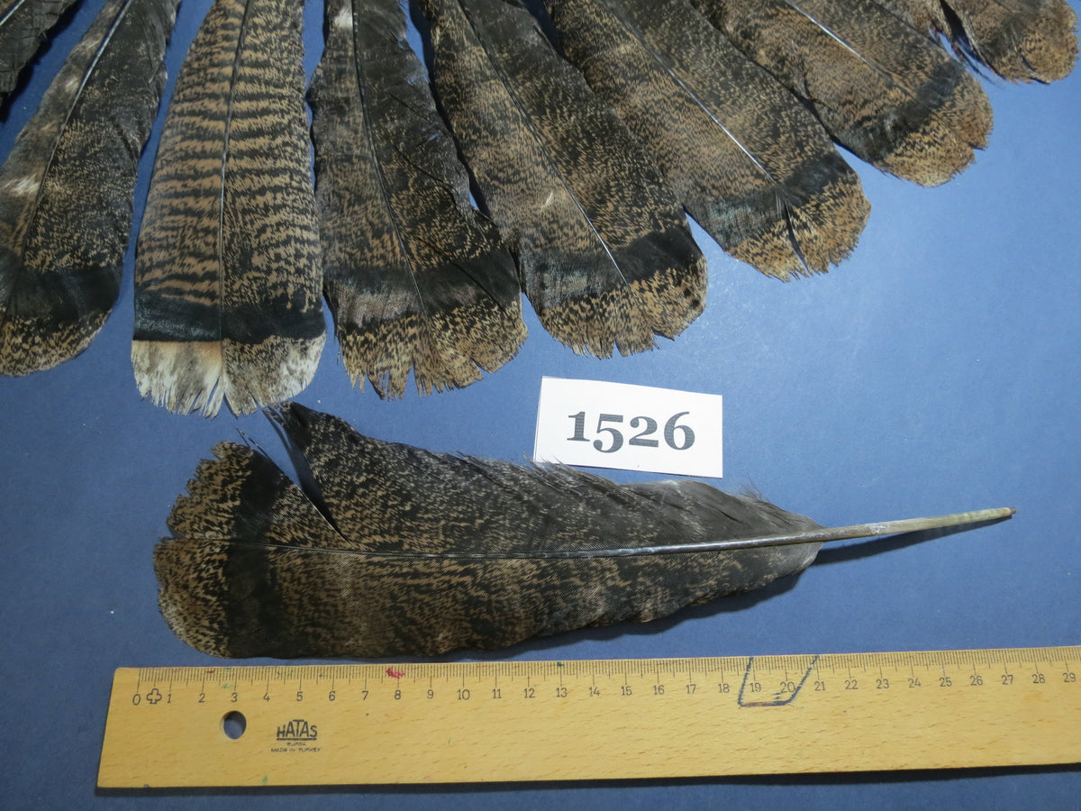18 Pcs Brown Turkey Tail Feathers, Fly Tying Materials,Long Feathers. (1526)