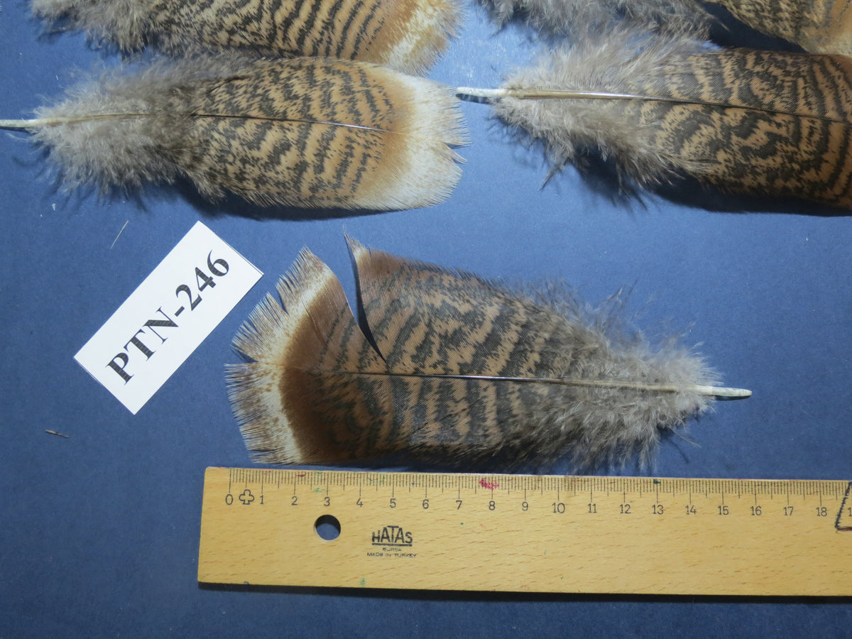 30 Pcs Natural Turkey Pre-Tail Feathers, Fly Tying Materials,Small Tails PTN-246