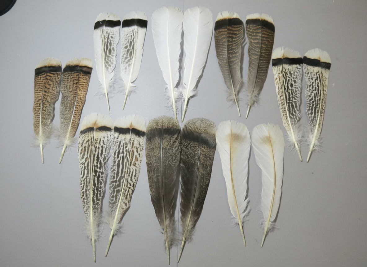 8 Pairs Turkey Feathers, Tail Feathers, Fly Tying Materials, Natural Feathers (AMZ-274)