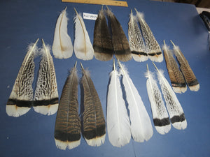 8 Pairs Turkey Feathers, Tail Feathers, Fly Tying Materials, Natural Feathers (AMZ-274)