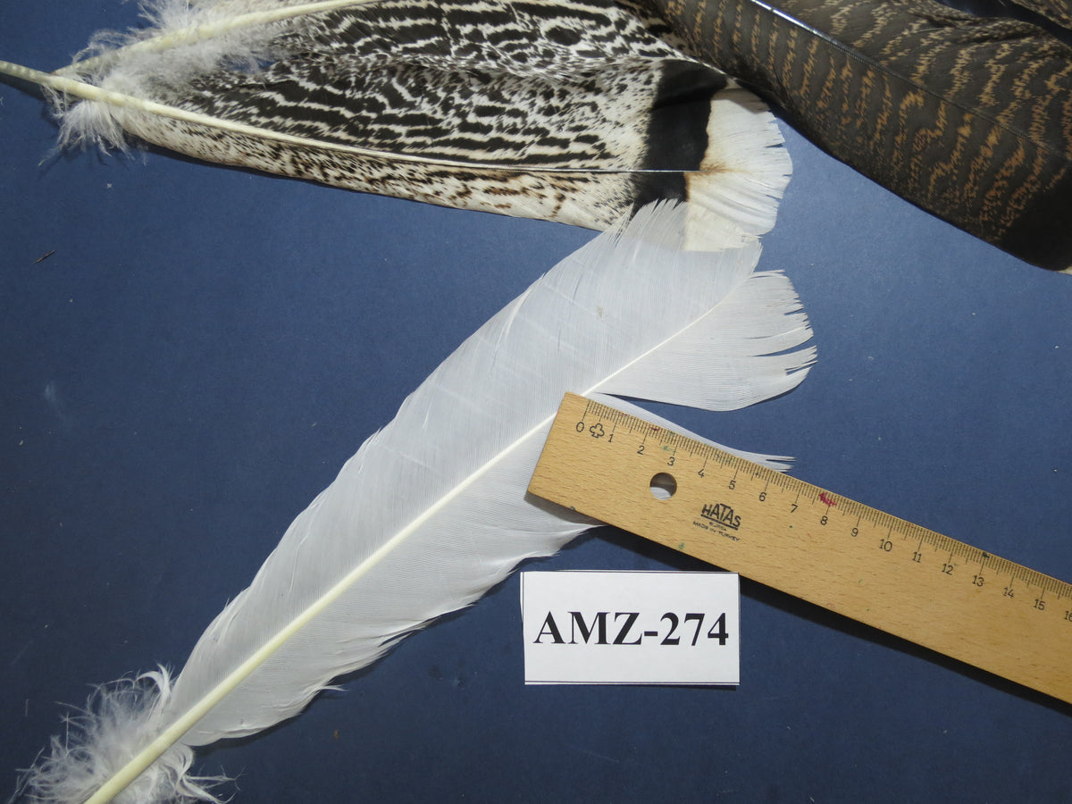 8 Pairs Turkey Feathers, Tail Feathers, Fly Tying Materials, Natural Feathers (AMZ-274)