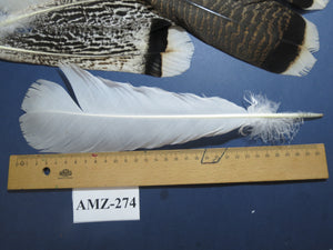 8 Pairs Turkey Feathers, Tail Feathers, Fly Tying Materials, Natural Feathers (AMZ-274)