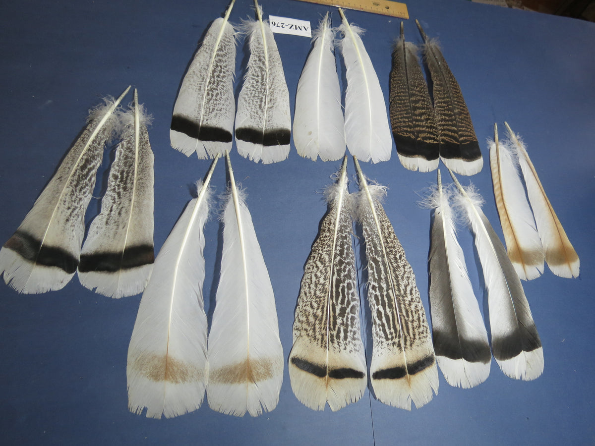 8 Pairs Turkey Feathers, Tail Feathers, Fly Tying Materials, Natural Feathers (AMZ-276)