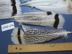 8 Pairs Turkey Feathers, Tail Feathers, Fly Tying Materials, Natural Feathers (AMZ-276)