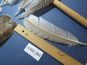 10 Pairs Turkey Wing Feathers, Amazing Feathers, Fly Tying Materials,(AMZ-281)