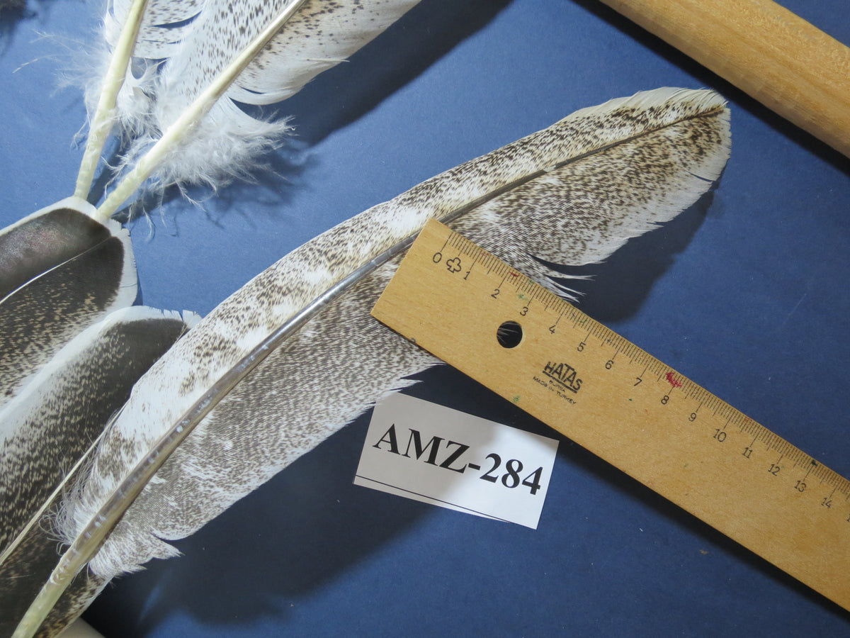 10 Pairs Turkey Wing Feathers, Amazing Feathers, Fly Tying Materials,(AMZ-284)