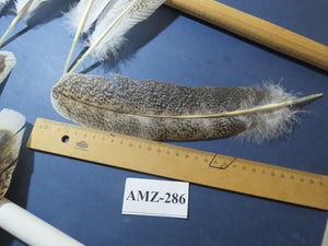10 Pairs Turkey Wing Feathers, Amazing Feathers, Fly Tying Materials,(AMZ-286)