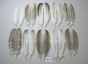 10 Pairs Turkey Wing Feathers, Amazing Feathers, Fly Tying Materials,(AMZ-290)