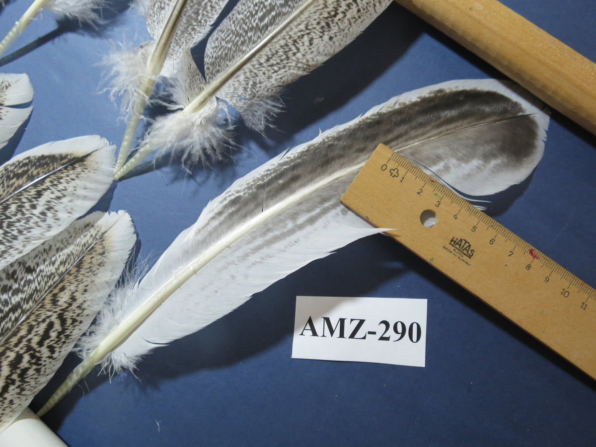 10 Pairs Turkey Wing Feathers, Amazing Feathers, Fly Tying Materials,(AMZ-290)
