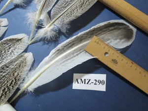 10 Pairs Turkey Wing Feathers, Amazing Feathers, Fly Tying Materials,(AMZ-290)