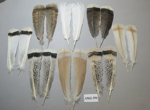 8 Pairs Turkey Feathers, Tail Feathers, Fly Tying Materials, Natural Feathers (AMZ-291)