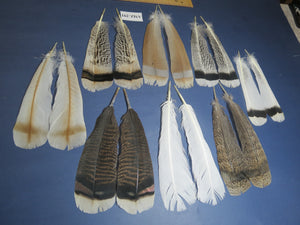8 Pairs Turkey Feathers, Tail Feathers, Fly Tying Materials, Natural Feathers (AMZ-291)