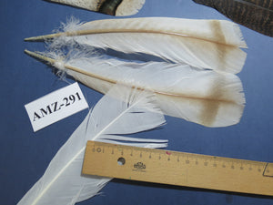 8 Pairs Turkey Feathers, Tail Feathers, Fly Tying Materials, Natural Feathers (AMZ-291)