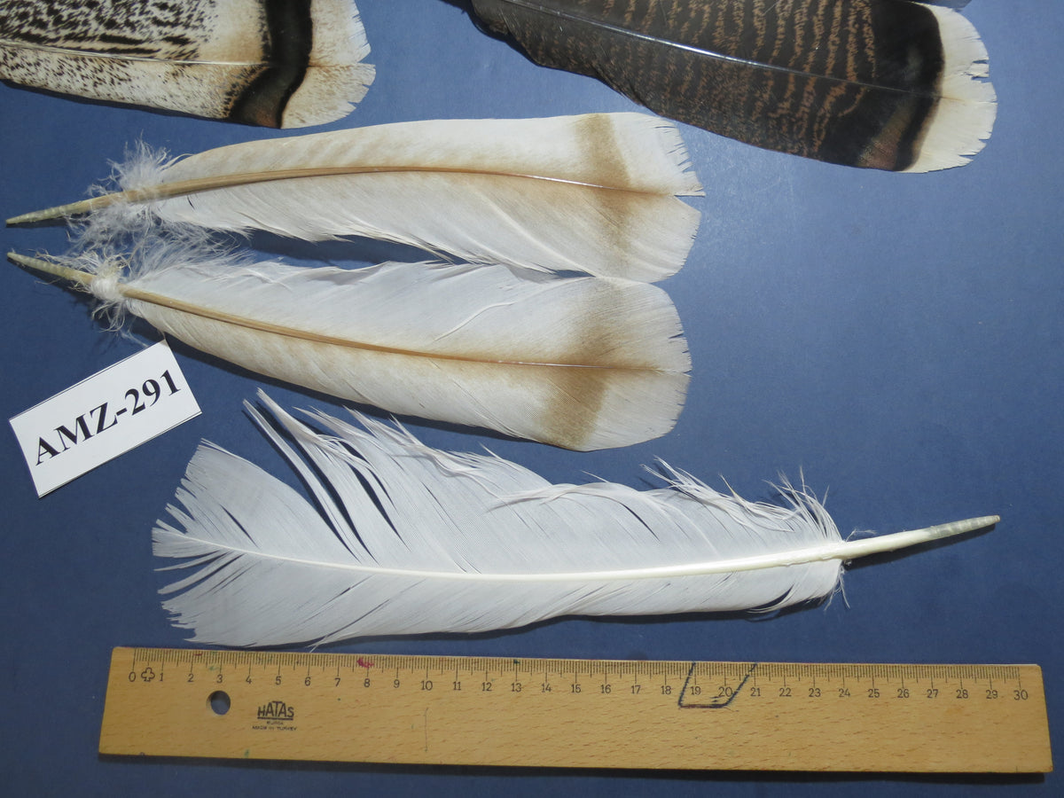 8 Pairs Turkey Feathers, Tail Feathers, Fly Tying Materials, Natural Feathers (AMZ-291)