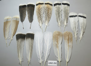8 Pairs Turkey Feathers, Tail Feathers, Fly Tying Materials, Natural Feathers (AMZ-292)
