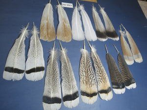 8 Pairs Turkey Feathers, Tail Feathers, Fly Tying Materials, Natural Feathers (AMZ-292)