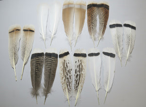 8 Pairs Turkey Feathers, Tail Feathers, Fly Tying Materials, Natural Feathers (AMZ-293)