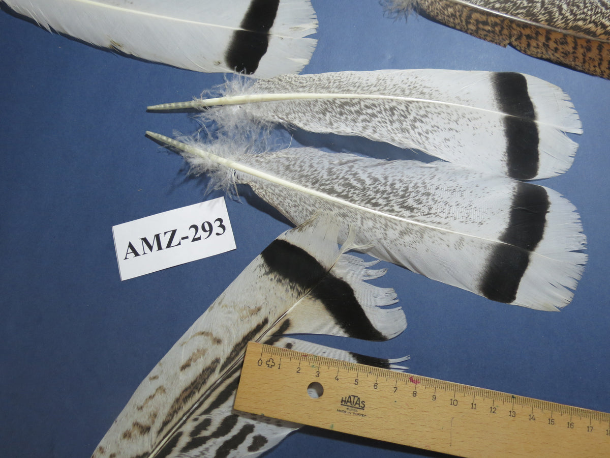 8 Pairs Turkey Feathers, Tail Feathers, Fly Tying Materials, Natural Feathers (AMZ-293)