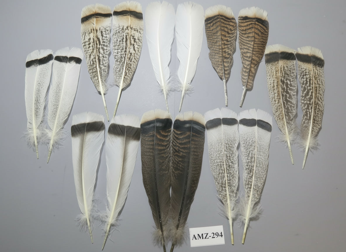 8 Pairs Turkey Feathers, Tail Feathers, Fly Tying Materials, Natural Feathers (AMZ-294)