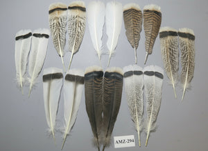 8 Pairs Turkey Feathers, Tail Feathers, Fly Tying Materials, Natural Feathers (AMZ-294)