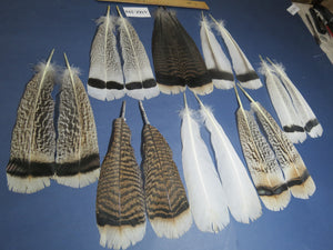 8 Pairs Turkey Feathers, Tail Feathers, Fly Tying Materials, Natural Feathers (AMZ-294)