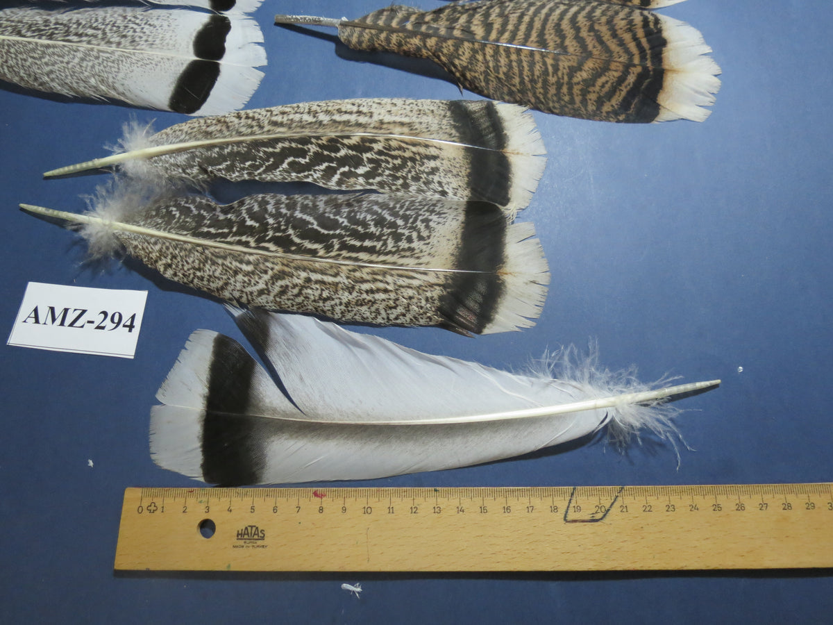 8 Pairs Turkey Feathers, Tail Feathers, Fly Tying Materials, Natural Feathers (AMZ-294)