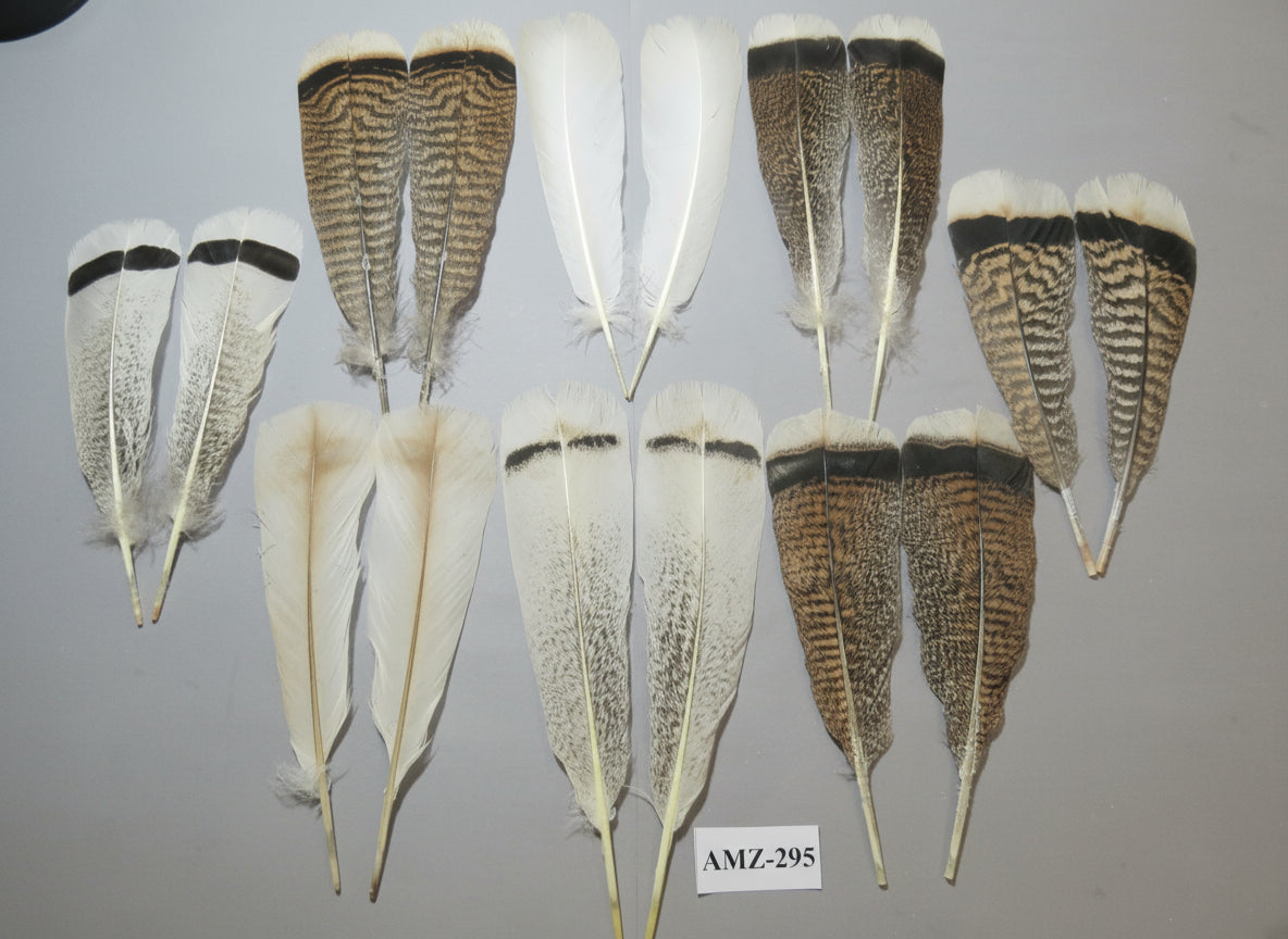 8 Pairs Turkey Feathers, Tail Feathers, Fly Tying Materials, Natural Feathers (AMZ-295)