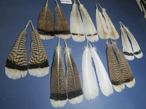 8 Pairs Turkey Feathers, Tail Feathers, Fly Tying Materials, Natural Feathers (AMZ-295)
