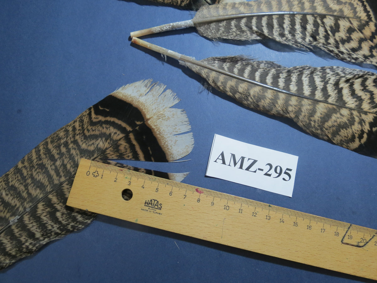 8 Pairs Turkey Feathers, Tail Feathers, Fly Tying Materials, Natural Feathers (AMZ-295)