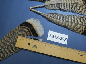 8 Pairs Turkey Feathers, Tail Feathers, Fly Tying Materials, Natural Feathers (AMZ-295)